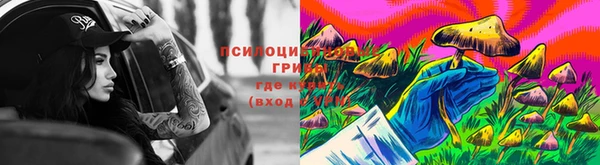 дурь Бугульма