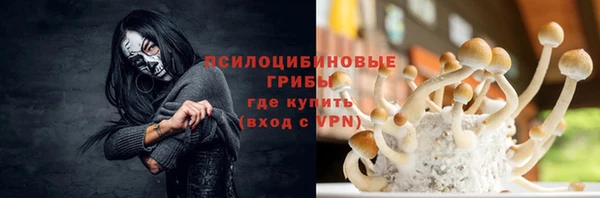гашиш Богданович