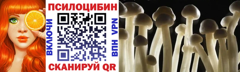 что такое   Севск  Псилоцибиновые грибы прущие грибы 
